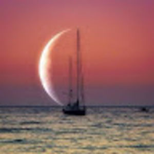 Meet your Posher, Sonia